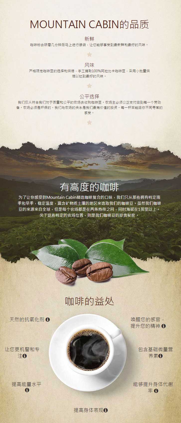 mountain cabin咖啡种植于苏门答腊盖奥山脉的咖啡豆